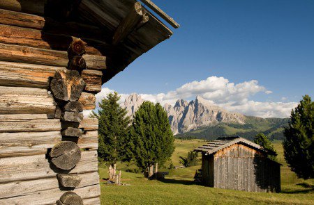 Die Rodenecker Alm: Das Höhenparadies in unserer Nachbarschaft